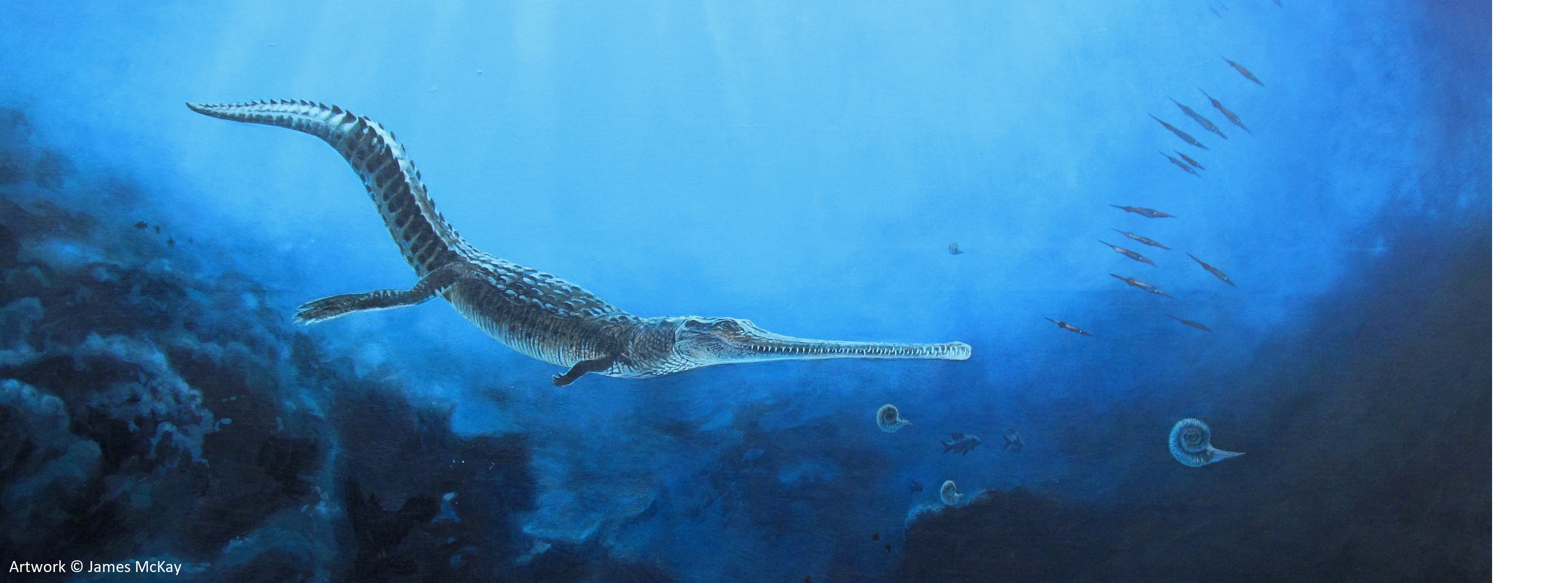 A Toarcian marine crocodile illustrated by James McKay