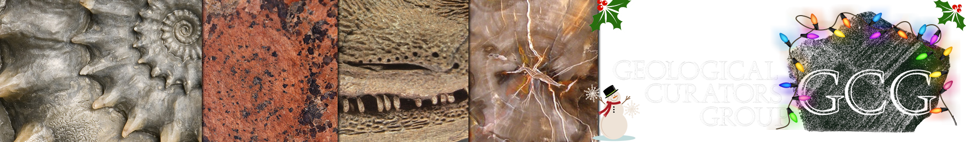 The Geological Curators Group