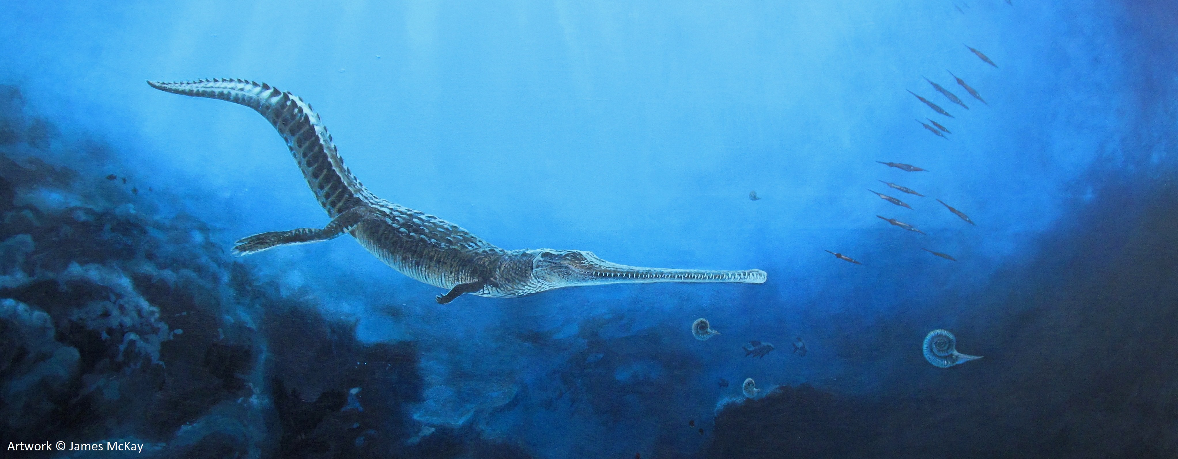 A Toarcian marine crocodile illustrated by James McKay